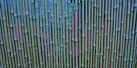 Natural bamboo wall pattern