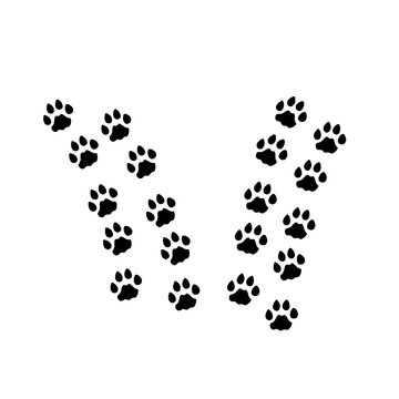 cat footprints silhouette