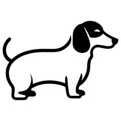 illustration of Dachshund isolated on white