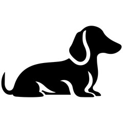 illustration of Dachshund isolated on white