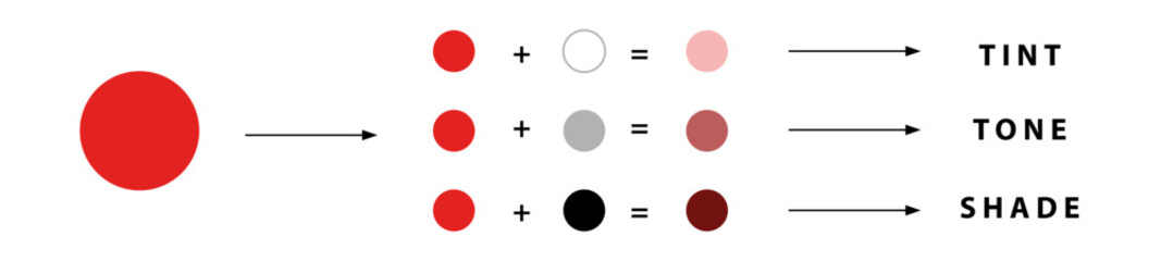 Color study of tint, tone, shade and pure color. Color palette
