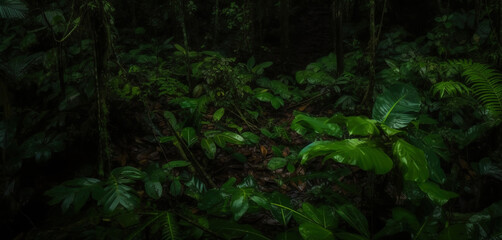 Fototapeta premium Deep tropical jungles. Dense forest landscape. Generative AI