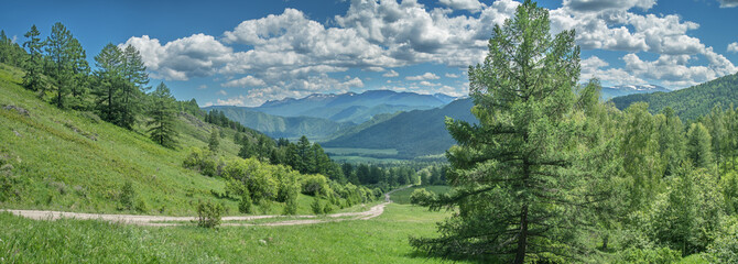 Fototapeta premium Panoramic view of the mountain valley from the pass, summer greenery of meadows and forests