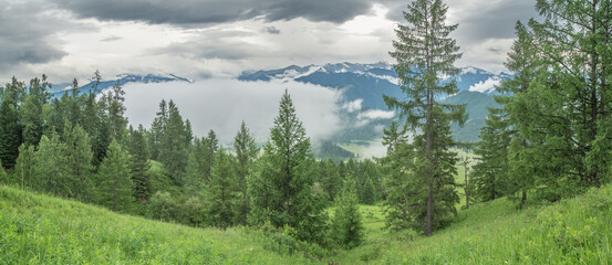Foggy morning in the mountains, cloudy weather, summer travel, panoramic view