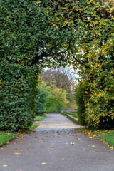 Naklejka premium Cutout buch tunnel in a garden