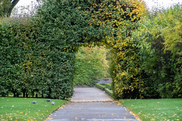 Cutout buch tunnel in a garden