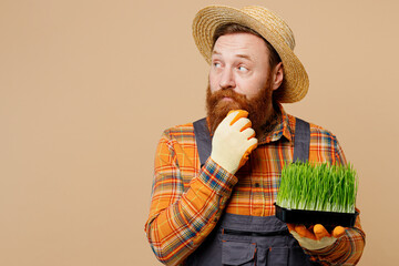 Young minded bearded man wear straw hat overalls work in garden hold in hand box with microgreen wheat grass look aside isolated on plain pastel beige background studio portrait. Plant caring concept.