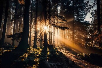 Sun Rays Filtering Through Trees in a Forest on a Sunny Day, Generative Ai