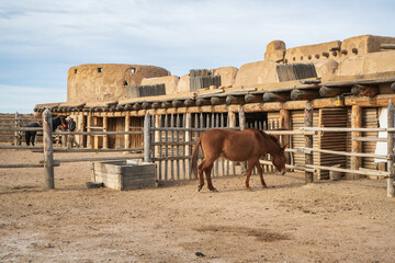 Horse at Bent's Old Fort National Historic Site, Colorado