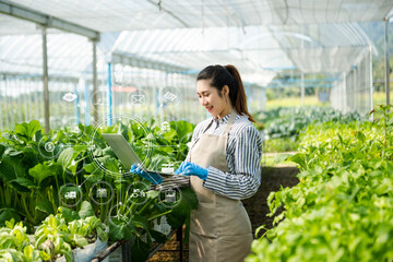  Woman hands gardening lettuce in farm  with growth process and chemical formula on green background.