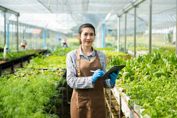  Asian couple of farmers inspects plants with a digital tablet In a greenhouse plantation. Smart farming .