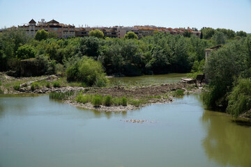 Fototapeta na wymiar Guadalquivir river in Cordoba, Spain