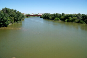 Fototapeta premium Guadalquivir river in Cordoba, Spain