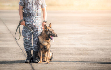 Soldiers from the  K-9 unit demonstrations to attack the enemy , the green lawns. learn the human...