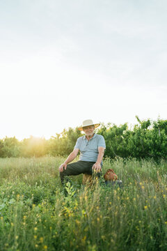 Smiling elderly male farmer sitting in meadow at sunset