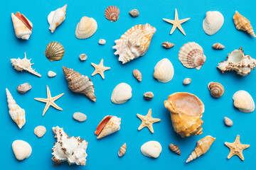 Summer time concept Flat lay composition with beautiful starfish and sea shells on colored table, top view