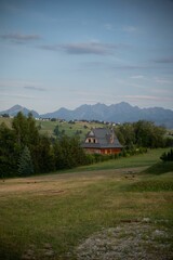 Typical house in by the forest with a background of green landscapes, vertical