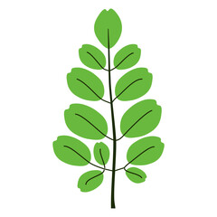 Green and purple leaf vector with SVG format for patter design and wallpaper.