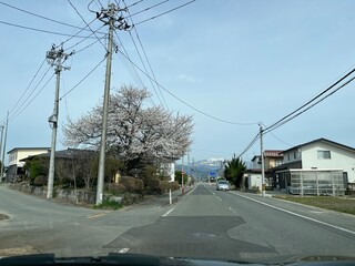 220418桜トウショーひなの湯

さくら
河北町
ひなの湯