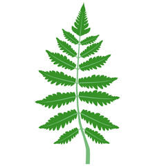 Green and purple leaf vector with SVG format for patter design and wallpaper.