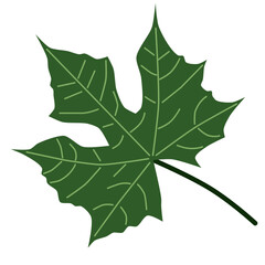 Green and purple leaf vector with SVG format for patter design and wallpaper.