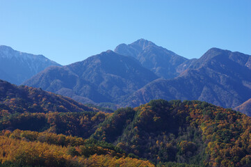 Fototapeta premium 紅葉最盛期の山麓から眺める甲斐駒ヶ岳