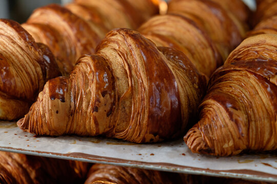  Freshly baked croissants are in tray after leaving the oven for customers.