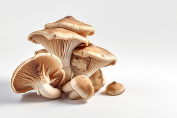 Fototapeta na wymiar Mushroom Delight. Pleurotus mushrooms isolated on white background with space for text. Copy space. Food concept AI Generative