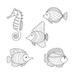 Set of doodle fishes. Black animal sketch for coloring pages and design.
