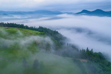 Fototapeta na wymiar Mountains in clouds at sunrise in summer. Aerial view of mountain peak with green trees in fog. Beautiful landscape with high rocks, forest, sky.