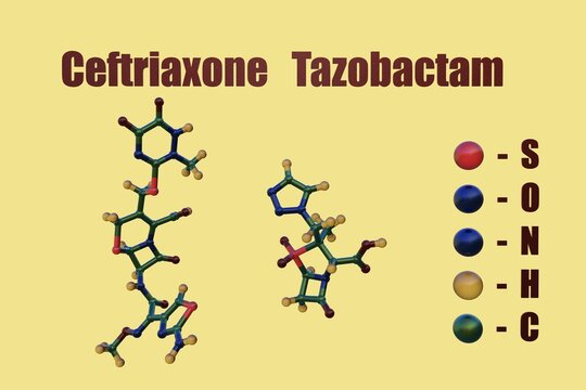 Molecular models of ceftriaxone and tazobactam, a combination of antibiotic medication . 3d illustration