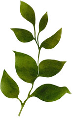 green leaf watercolor png