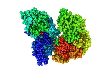 Human fatty acid synthase. Space-filling molecular model. Rainbow coloring from N to C. 3d illustration
