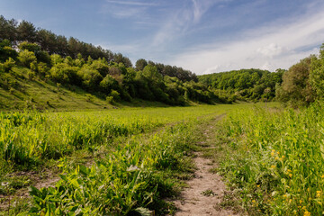 Spring view of a green valley among low mountains