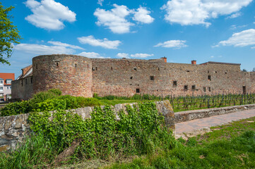 Teil der Alten Stadtmauer am Stadtmauerrundweg in Wachenheim. Region Pfalz im Bundesland Rheinland-Pfalz in Deutschland