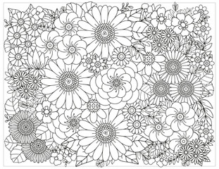 Coloring pages for children and adults.Blooming garden illustration hand drawing.  