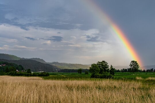 Beautiful view of a magnificent rainbow in the background of a green field and ears of wheat