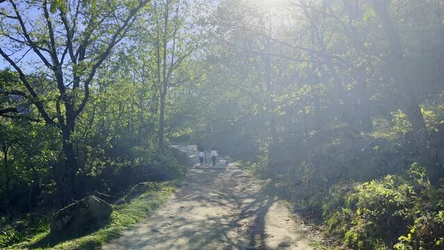 Group of hikers with dog walk along trail in Valle del Jerte Spain towards sun