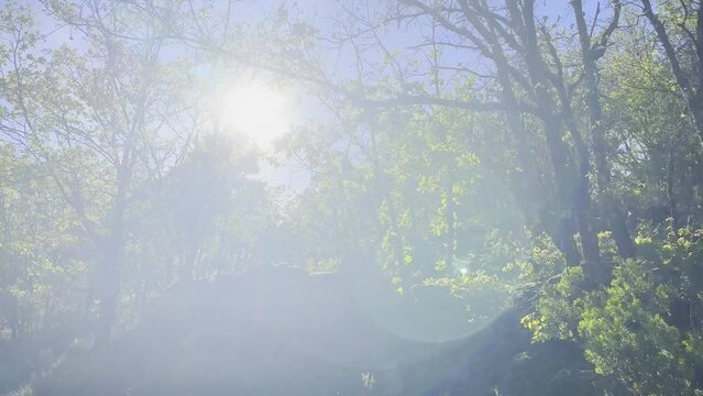Sun flares and flickers through green trees along pathway in Valle del Jerte