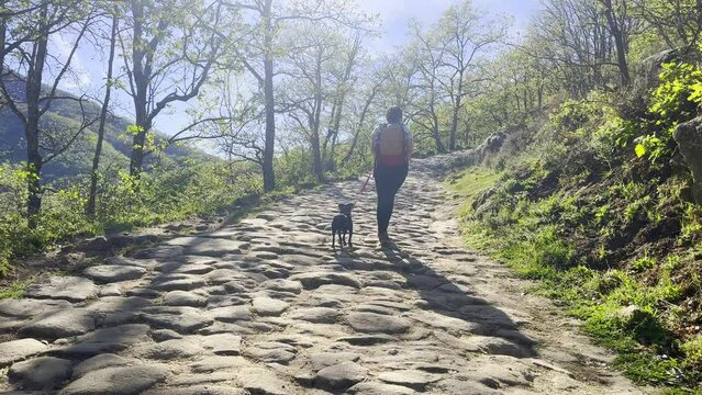 Solo woman hiker in Valle del Jerte Spain pulls dog to catch up on cobblestone