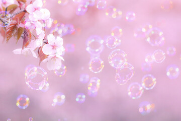 Fototapeta na wymiar 桜の中に浮かぶシャボン玉