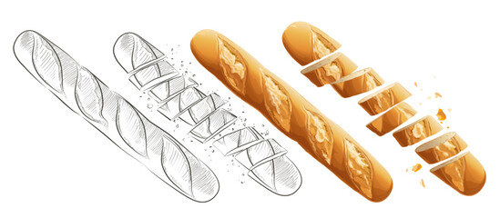 Set of vector french sliced baguette. Slices and crumbs. White long bread loaf. Rye whole grain baked bread. Logo, icon. sketch realistic line vintage illustration. Top view