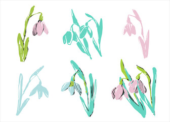 Fototapeta na wymiar Set of hand drawn snowdrops. Spring flowers in handmade technique. Vector illustration. Crocuses for the design of invitations, cards and layouts.