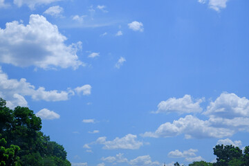 blue sky with clouds
