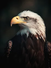 Foto op Plexiglas american bald eagle © Regina