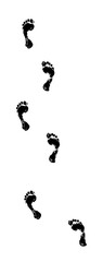 foot step trail vector silhouette  