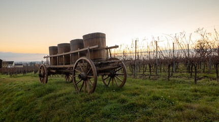 Gueberschwihr, Alsace, France - December 7, 2022: Old wooden carriage wine in a vineyard at sunset