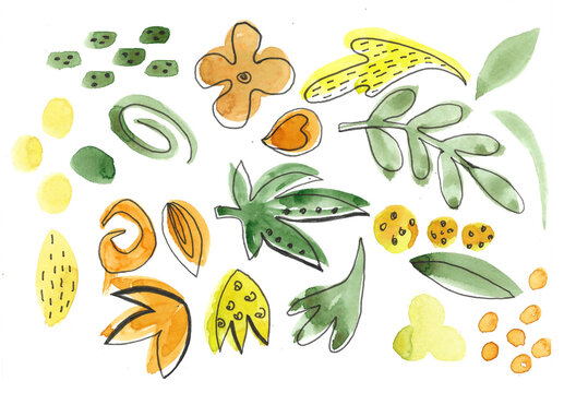 Summer flowering meadow concept.Set of abstract elements of wild flowers and herbs. Leaves and swirls in green, orange and yellow. hand-drawn watercolor illustration.