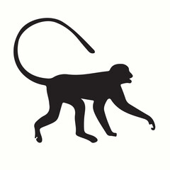 Squirrel Monkey silhouettes and icons. Black flat color simple elegant Squirrel Monkey animal vector and illustration.