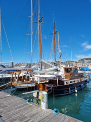 boats in the harbor